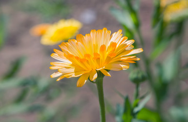 Similar image 21283050