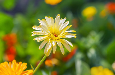 Similar image 21283179