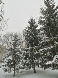 Similar image 21275574