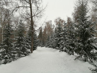 Similar image 21275575