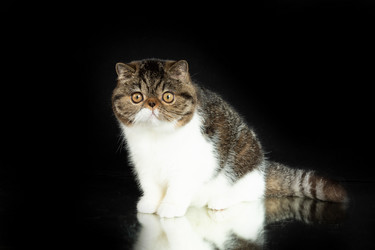 Similar image 21279309