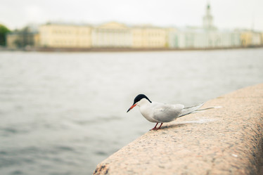 Similar image 21266800