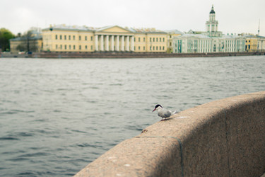 Similar image 21266801