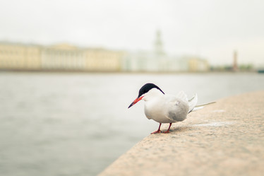 Similar image 21266802