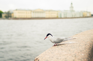 Similar image 21266803