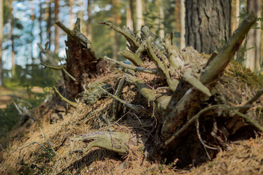 Similar image 21266813