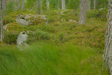 Similar image 21266814