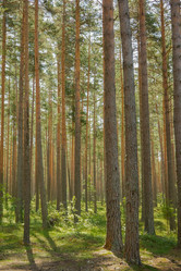 Similar image 21266817