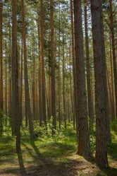 Similar image 21266818