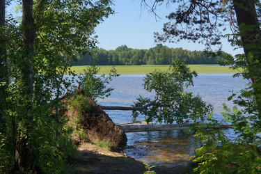 Similar image 21266819