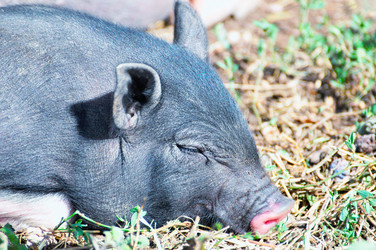 Similar image 21266523