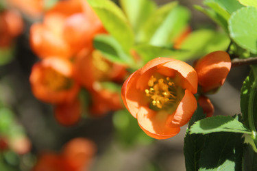 Similar image 21276760