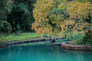 Similar image 21291959