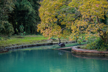 Similar image 21291960