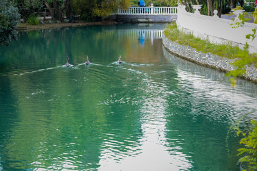 Similar image 21291961