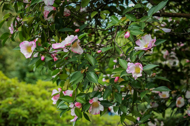 Similar image 21291962