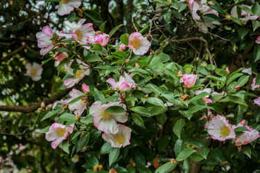 Similar image 21291964