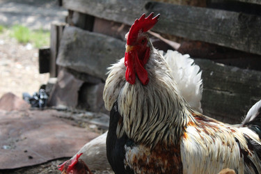 Similar image 21272906