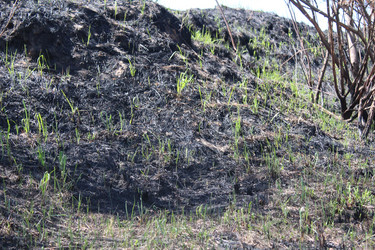 Similar image 21272908