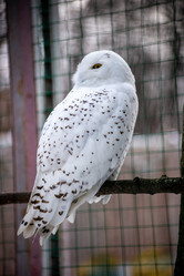 Similar image 21266739