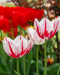 Similar image 21266525