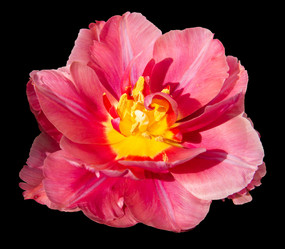 Similar image 21266526