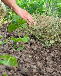 Similar image 21266529