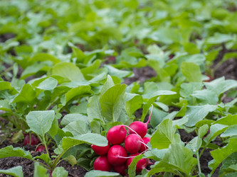 Similar image 21266530