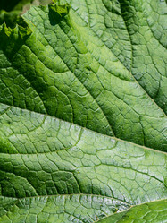 Similar image 21266531