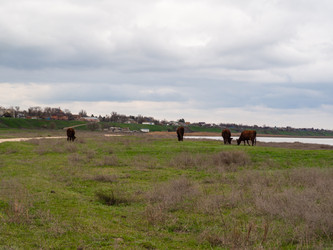 Similar image 21266537