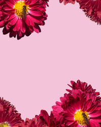 Similar image 21266538