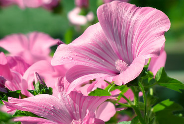 Similar image 21282872