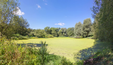 Similar image 21282877