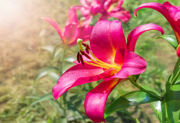 Similar image 21283056