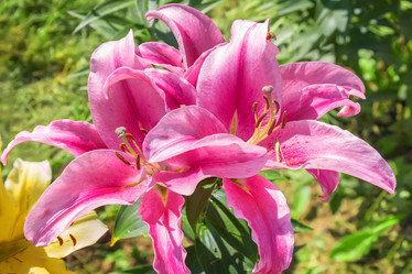 Similar image 21283058