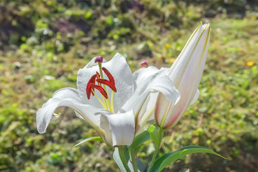 Similar image 21283060