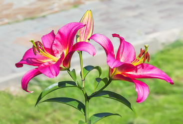 Similar image 21283061