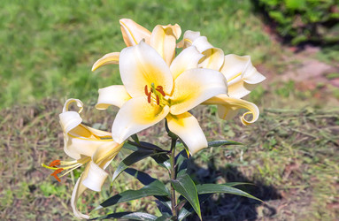 Similar image 21283062