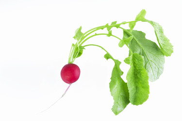 Similar image 21267415