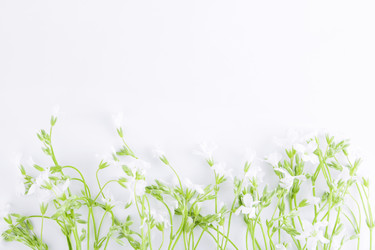 Similar image 21267417