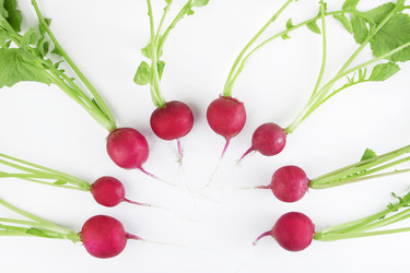 Similar image 21267418