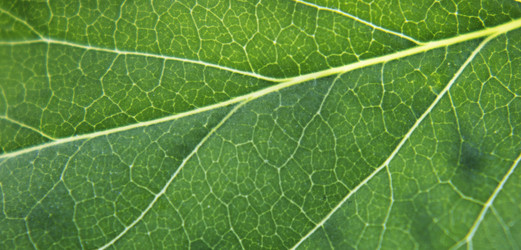 Similar image 21267420