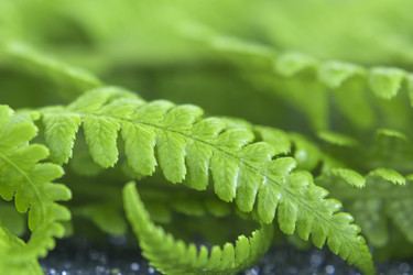 Similar image 21267422