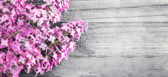 Similar image 21267427