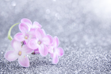 Similar image 21267431