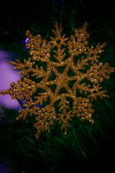 Similar image 21267248