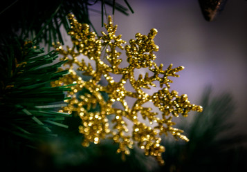 Similar image 21267251