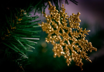 Similar image 21267252