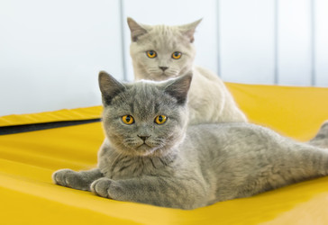 Similar image 21283428