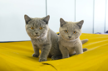 Similar image 21283429